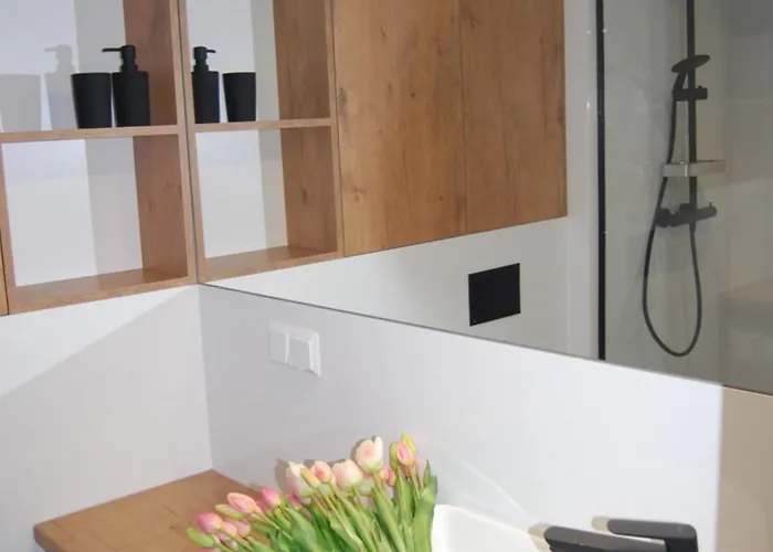 Zlote Wydmy Apartamento Grzybowo (West Pomeranian)